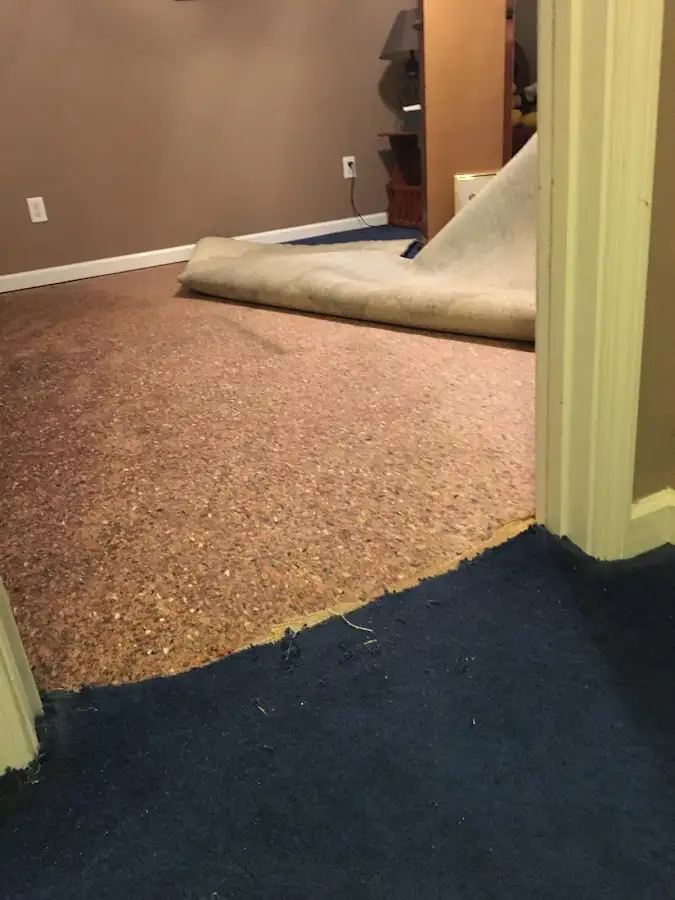 Carpet pad removal revealing water damage during Drying & Dehumidification in Goodlettsville